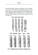 Человек дышащий. Как дыхательная система влияет на наши тело и разум и как улучшить её работу — фото, картинка — 12