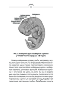 Человек дышащий. Как дыхательная система влияет на наши тело и разум и как улучшить её работу — фото, картинка — 13