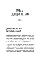 Человек дышащий. Как дыхательная система влияет на наши тело и разум и как улучшить её работу — фото, картинка — 7