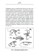 Человек дышащий. Как дыхательная система влияет на наши тело и разум и как улучшить её работу — фото, картинка — 9