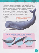 Красная книга мира — фото, картинка — 5