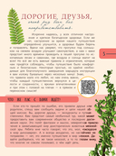 Динозавры. Путешествие в прошлое — фото, картинка — 9