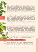 Динозавры. Путешествие в прошлое — фото, картинка — 14