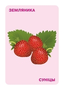 Дидактические карточки. Ягоды — фото, картинка — 3