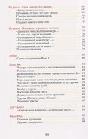 Опадают цветы сливы мэй. Китайская классическая поэзия — фото, картинка — 6