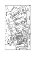 Королевская тайна — фото, картинка — 4