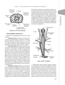 Доказательная гастроэнтерология: новые тренды, чекапы и протоколы — фото, картинка — 10