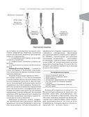 Доказательная гастроэнтерология: новые тренды, чекапы и протоколы — фото, картинка — 12