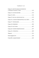 Серебряная пуля. Бизнес-роман о том, как заражать своей идеей — фото, картинка — 6