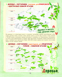 Большой подарок для мальчика. Энциклопедия для настоящих мальчишек — фото, картинка — 11