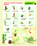 Большой подарок для мальчика. Энциклопедия для настоящих мальчишек — фото, картинка — 12