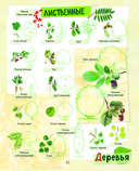 Большой подарок для мальчика. Энциклопедия для настоящих мальчишек — фото, картинка — 13