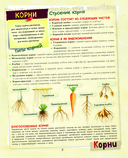 Большой подарок для мальчика. Энциклопедия для настоящих мальчишек — фото, картинка — 7