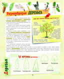Большой подарок для мальчика. Энциклопедия для настоящих мальчишек — фото, картинка — 8