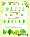 Большой подарок для мальчика. Энциклопедия для настоящих мальчишек — фото, картинка — 9