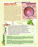 Большой подарок для мальчика. Энциклопедия для настоящих мальчишек — фото, картинка — 10