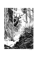 Таежная кровь — фото, картинка — 7