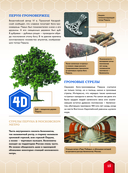 История России — фото, картинка — 15