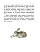 Три медведя. Сказки и рассказы — фото, картинка — 13