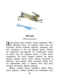 Три медведя. Сказки и рассказы — фото, картинка — 9