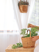 Плети как дизайнер. От корзины до комода — фото, картинка — 7