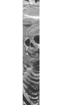 Любовь моя Ана — фото, картинка — 1