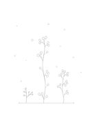 Таинственный сосед — фото, картинка — 2