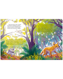 Маленький коала. Приключения в эвкалиптовом лесу — фото, картинка — 5