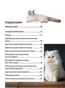 Все породы кошек. Большая иллюстрированная энциклопедия — фото, картинка — 1