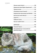 Все породы кошек. Большая иллюстрированная энциклопедия — фото, картинка — 4