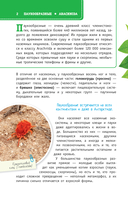 Пауки, скорпионы и многоножки России — фото, картинка — 2