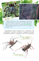 Пауки, скорпионы и многоножки России — фото, картинка — 3