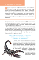 Пауки, скорпионы и многоножки России — фото, картинка — 4