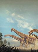 Стегозавр и другие травоядные ящеры — фото, картинка — 1