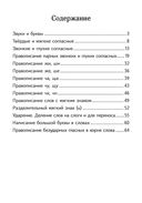 Комплексный тренажёр по русскому языку. 2 класс — фото, картинка — 1