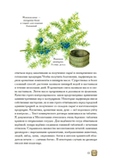 Боги, люди, ароматы — фото, картинка — 12