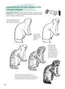 Создаем наброски животных и птиц шаг за шагом — фото, картинка — 2