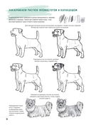 Создаем наброски животных и птиц шаг за шагом — фото, картинка — 6