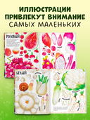 Приключения улитки Элли в мире фруктов и овощей — фото, картинка — 1