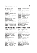 3000 самых употребительных слов и выражений испанского языка — фото, картинка — 5