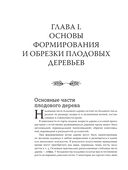 Обрезка садовых деревьев — фото, картинка — 15