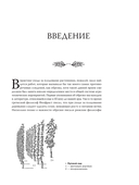 Обрезка садовых деревьев — фото, картинка — 10