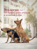 Ключ к характеру вашей собаки — фото, картинка — 11