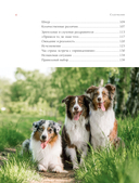 Ключ к характеру вашей собаки — фото, картинка — 4