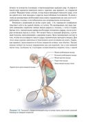 Анатомия тенниса — фото, картинка — 11