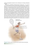 Анатомия тенниса — фото, картинка — 10