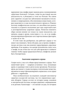 Лимфа и долголетие. Путь к укреплению иммунитета и предупреждению болезней — фото, картинка — 27