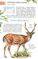 Животные России со звуками — фото, картинка — 4