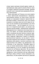 Записки сумасшедшего. Повести — фото, картинка — 19