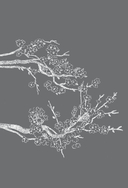 Хокку — фото, картинка — 6